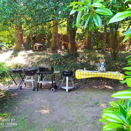 "La Selvetta" Bed And Breakfast Buguggiate Zewnętrze zdjęcie