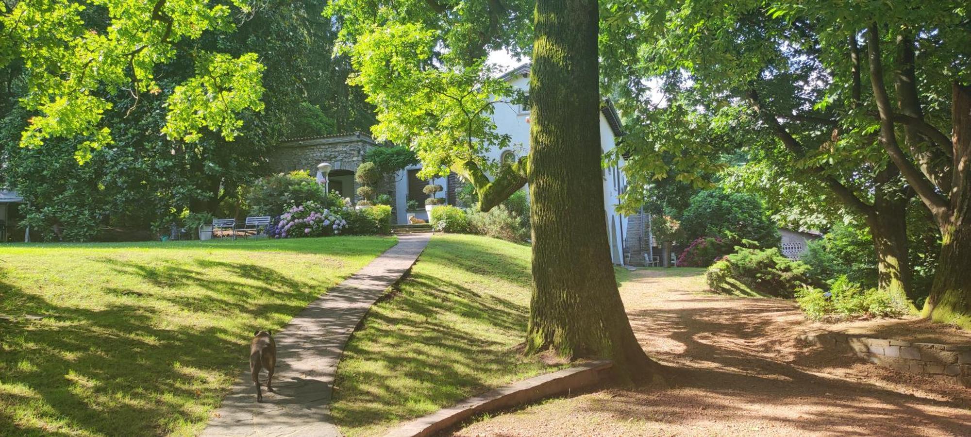 "La Selvetta" Bed And Breakfast Buguggiate Zewnętrze zdjęcie