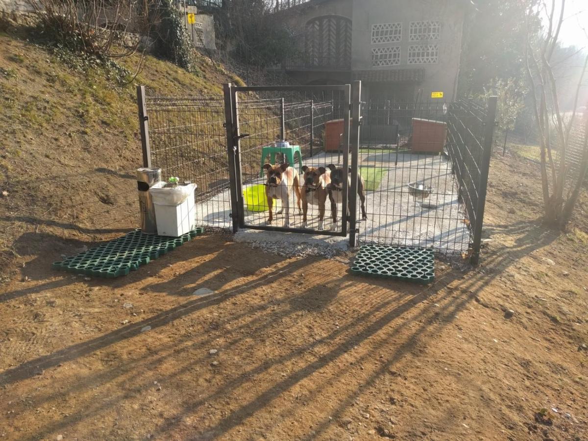 "La Selvetta" Bed And Breakfast Buguggiate Zewnętrze zdjęcie